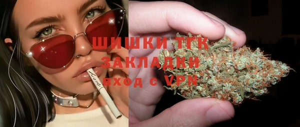 дживик Снежногорск